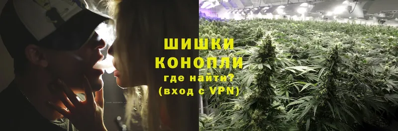 Каннабис SATIVA & INDICA  Вельск 